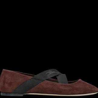 Ballerinas^Longchamp Flash Sale