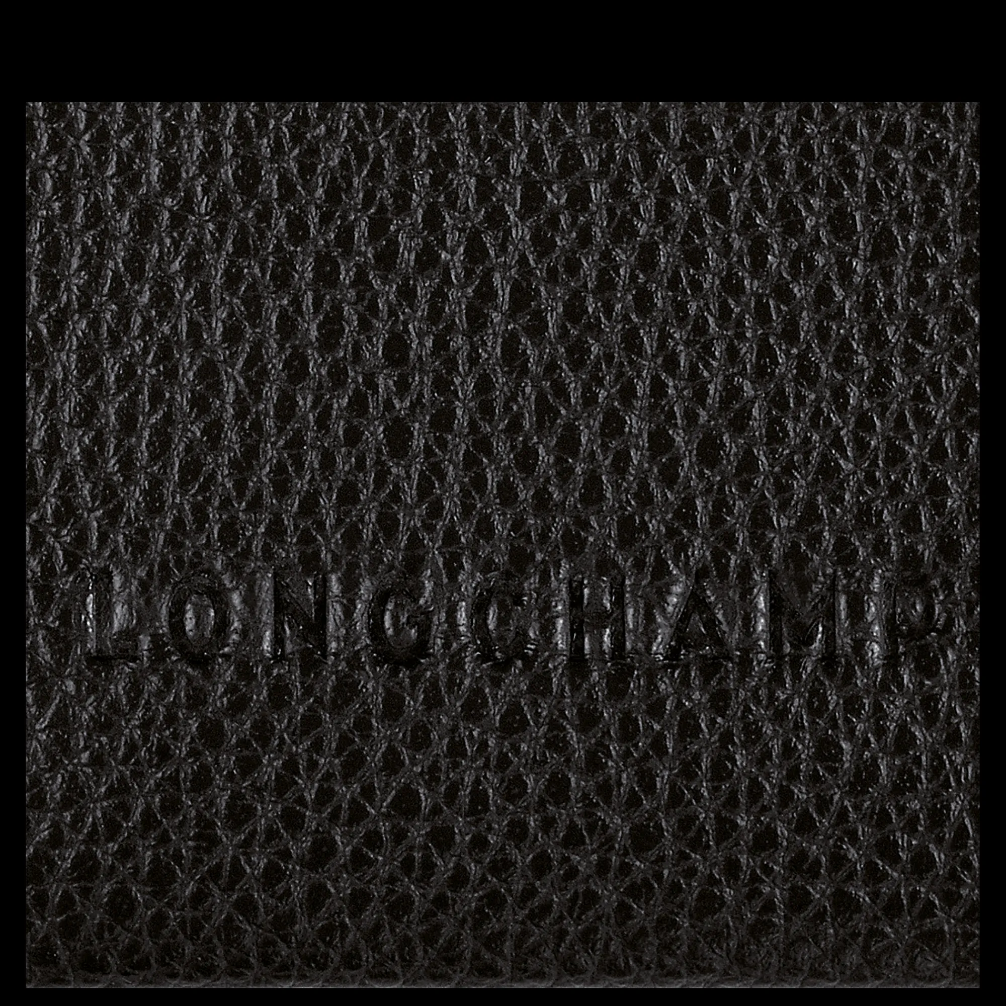 Karten-Etui^Longchamp Hot