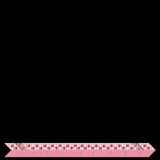 Seidenband^Longchamp Flash Sale